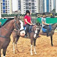 Horse riding workshop in Hyderabad  