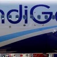 IndiGo launches AI Chatbot for ticket booking and queries 