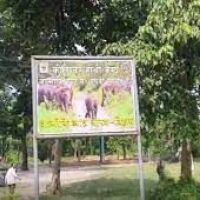 Jungle Safari in Valmiki Tiger Reserve in Bihar will start from 1st November  