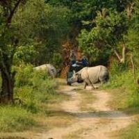 Kaziranga National Park and Tiger Reserve all set to reopen for tourists from 15th October in Assam