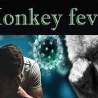 Monkey Fever alert in Karnataka 