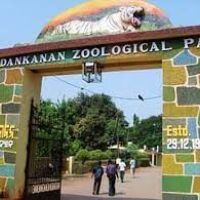 'Night out at zoo’ for visitors launched in Odisha's nadankanan