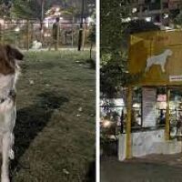 PCMC introduces ‘Dog Park’ for Pooches and their Proud Owners