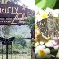 Udaipur gets butterfly park and home to rare Zebra Skipper