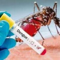  West Bengal government maked house visit and mandatory test under Dengue advisory