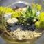 Terrarium workshop to be held in Hyderabad on 28th April 